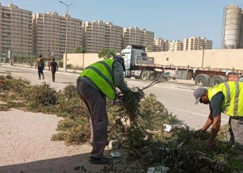 الشريف: رفع 15 ألف طن قمامة من شوارع الإسكندرية خلال الـ 72 ساعة الماضية 22 - جريدة المساء