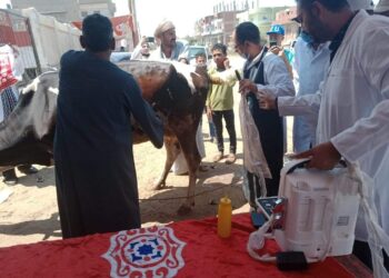 قافلة بيطرية مجانية  ببحر البقر ضمن مبادرة حياة كريمة 21 - جريدة المساء