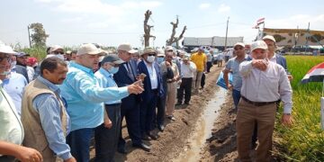 الزراعة تنظيم يوم حقلي للأرز  والذرة الشامية  في محطة بحوث سخا  1 - جريدة المساء