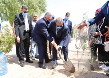 وزير القوى العاملة ومحافظ البحر الأحمر يزرعان 1500 شجرة ضمن مبادرة "هنجملها" 15 - جريدة المساء