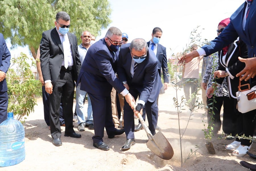 وزير القوى العاملة ومحافظ البحر الأحمر يزرعان 1500 شجرة ضمن مبادرة "هنجملها" 17 - جريدة المساء