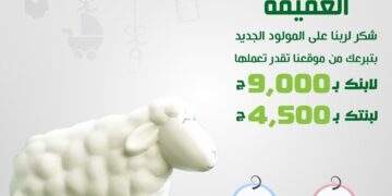 "العقيقة" مبادرة الاورمان لدعم الأيتام وأصحاب الهمم والأسر الأولى بالرعاية بأسوان 1 - جريدة المساء