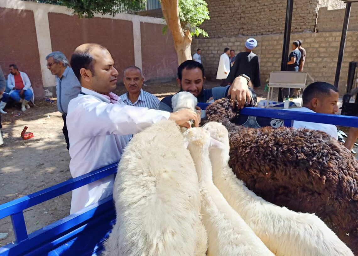 قوافل بيطرية مجانية تستهدف قرية دير الجنادلة بمركز الغنايم 19 - جريدة المساء