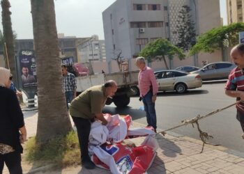 محافظ الإسكندرية: إزالة ٦٠٣ إعلان مخالف وتحرير ٢٦٧ محضر 19 - جريدة المساء