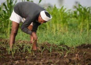 الزراعة تعلن عن ١٠ إجراءات احترازية للمزارعين والمربين لتجنب الآثار السلبية ل "التقلبات الجوية" 21 - جريدة المساء