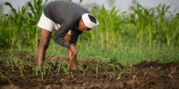 الزراعة تعلن عن ١٠ إجراءات احترازية للمزارعين والمربين لتجنب الآثار السلبية ل "التقلبات الجوية" 1 - جريدة المساء