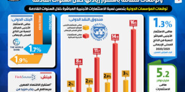 المؤسسات الدولية تجمع على جاذبية مصر للاستثمارات الأجنبية 1 - جريدة المساء