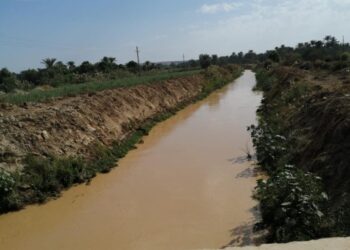 غداً أجازة بمدارس أسوان ..بسبب الأمطار الرعدية والعواصف الترابية 24 - جريدة المساء