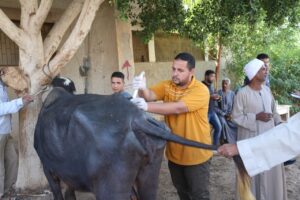 جامعة جنوب الوادى تنظم قافلة طبية تنموية شاملة لقرية "القناوية" .. بقنا 23 - جريدة المساء