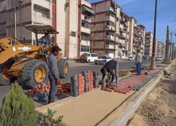 استمرار أعمال تطوير شارع ٢٣ ديسمبر وشارع العبور بنطاق حي الزهور 19 - جريدة المساء