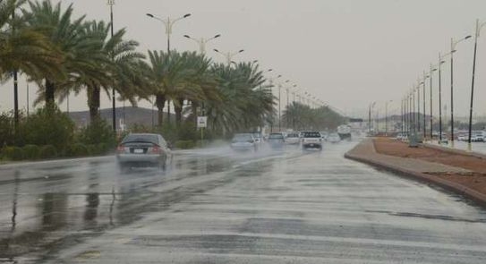 نظراً لاستمرار موجة الطقس السيئ.. تعطيل الدراسة بالاسكندرية غداً 19 - جريدة المساء