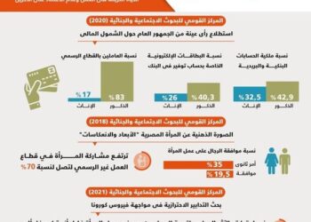 دراسة للبحوث الاجتماعية والجنائية تظهر: تفوق ذكورى فى إمتلاك الحسابات البنكية والبريدية على العنصر النسوى 33 - جريدة المساء