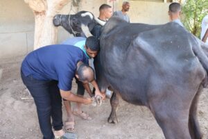 جامعة جنوب الوادى تنظم قافلة طبية تنموية لقرية العسيرات .. بقنا 25 - جريدة المساء