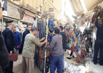 محافظ اسوان يتابع إزالة 840 حالة إشغال 19 - جريدة المساء