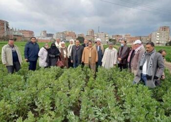 زراعة الشرقية تُنفذ مدرسة حقلية إرشادية عن الفول البلدي لمزارعي " ناطورة 26 - جريدة المساء