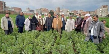 زراعة الشرقية تُنفذ مدرسة حقلية إرشادية عن الفول البلدي لمزارعي " ناطورة 1 - جريدة المساء