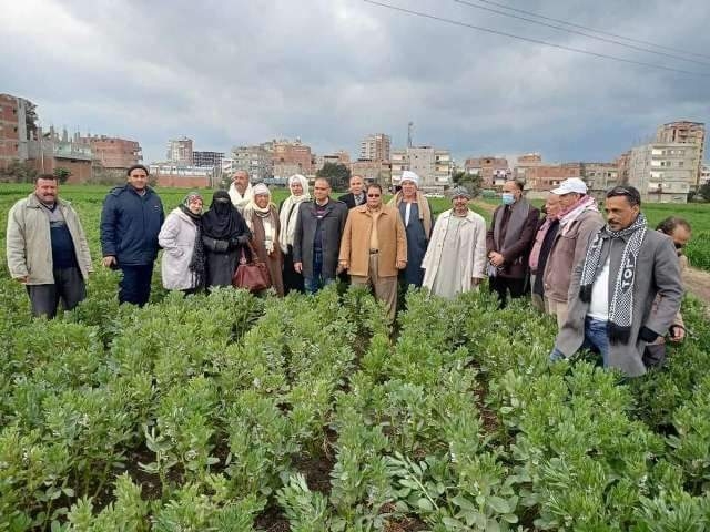 زراعة الشرقية تُنفذ مدرسة حقلية إرشادية عن الفول البلدي لمزارعي " ناطورة 19 - جريدة المساء