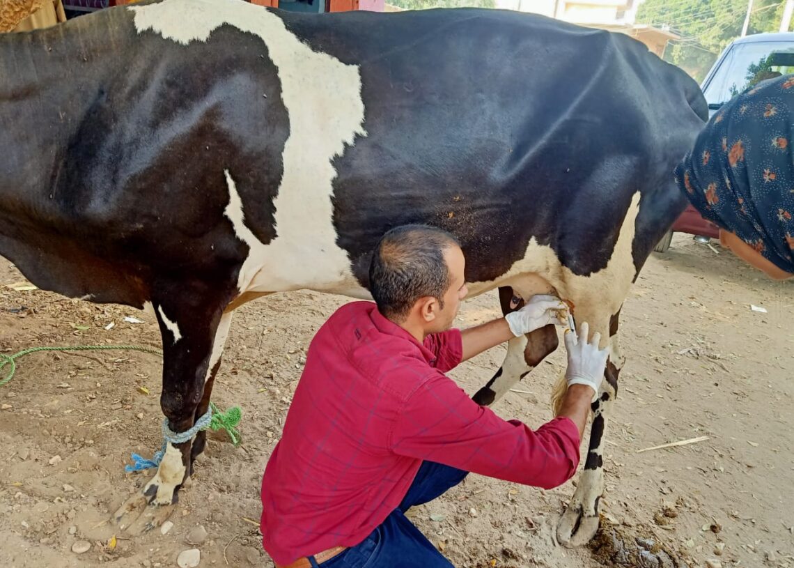 قوافل علاجية بيطرية بقرى مراكز صدفا والقوصية والفتح .. بأسيوط 19 - جريدة المساء