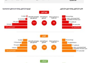 الجهاز القومي لتنظيم الاتصالات يتلقى ١٢١٫٧٦٢ شكوى خلال النصف الثاني.القاهرة الكبرى اعلى نسبة منها . 18 - جريدة المساء