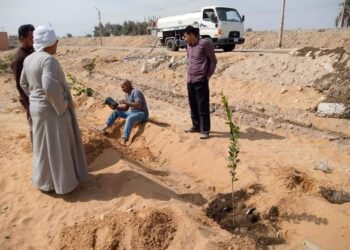 ضمن مبادرة " أحلى وهي خضرة " ... زراعة 200 شجرة ليمون بمركز جهينة 17 - جريدة المساء