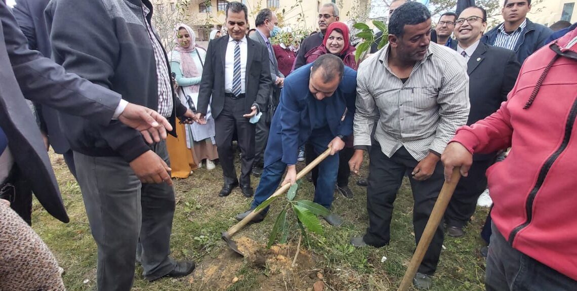 جامعة كفر الشيخ تواجه الاحتباس الحرارى بزراعة الأشجار المثمرة 19 - جريدة المساء