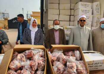 أوقاف الاسكندرية تتسلم الدفعة السابعة من لحوم الاضاحى 16 - جريدة المساء