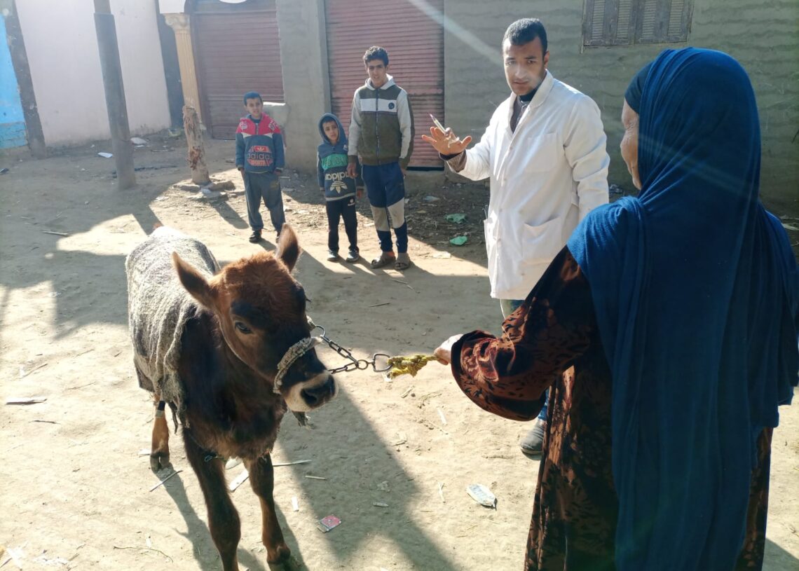 تحصين أكثر من 105 ألف ضمن الحملة القومية لتحصين الثروة الحيوانية ضد أمراض الحمى القلاعية والوادي المتصدع