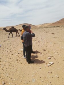 بيطري مطروح يستجيب لاستغاثة مربي الإبل بالسلوم بعد اصابتها بمرض غامض 20 - جريدة المساء