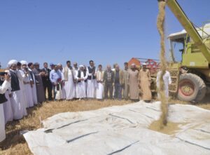 محافظ مطروح يشهد انطلاق موسم حصاد القمح غرب مطروح 23 - جريدة المساء