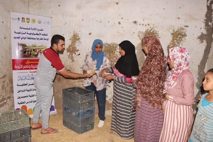 لدفع انتاج الثروة الداجنة بالخارجة.. جامعة الوادي الجديد تشارك "الفاو" فى تنظيم حملات مدرسية لدعم المرأة الريفية 18 - جريدة المساء