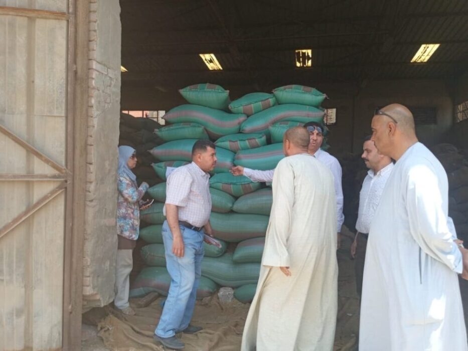 محافظ المنيا.. انتظام استلام الأقماح من الموردين والمزارعين