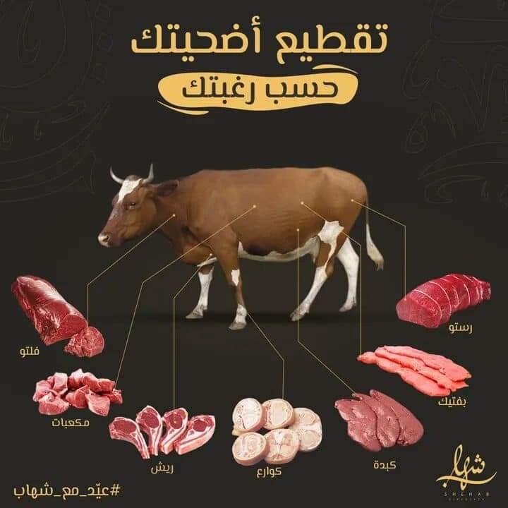 أنواع اللحمة الكندوز..وطرق طهيها 19 - جريدة المساء