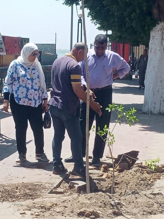 انطلاق فعاليات حملة "آثار التغيرات المناخية على الإنسان" بمراكز وأحياء أسيوط 17 - جريدة المساء