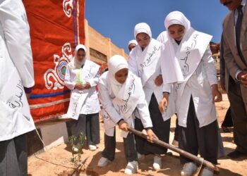 تنفيذا لمبادرة الرئيس السيسى.. زراعة 100 مليون شجرة بمطروح 17 - جريدة المساء