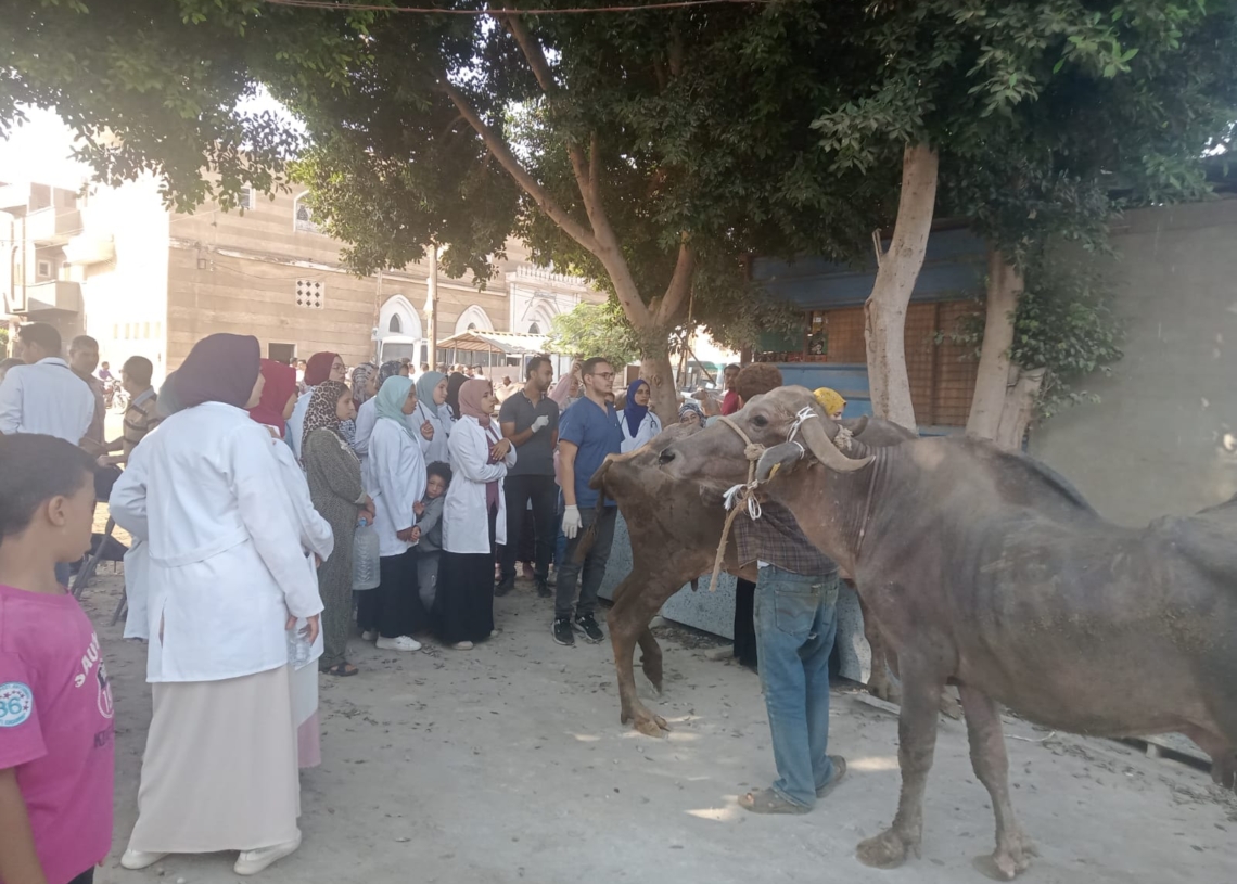 جامعة مدينة السادات تطلق قافلة بيطرية وزراعية مجانية لقرية "فيشا الصغرى" ضمن مبادرة حياة كريمة 19 - جريدة المساء