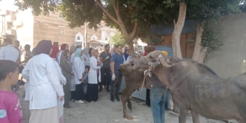 جامعة مدينة السادات تطلق قافلة بيطرية وزراعية مجانية لقرية "فيشا الصغرى" ضمن مبادرة حياة كريمة 1 - جريدة المساء