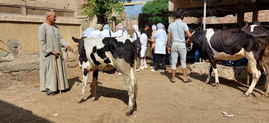 جامعة مدينة السادات تطلق قافلة بيطرية وزراعية مجانية لقرية " إبنهس" ضمن مبادرة حياة كريمة 19 - جريدة المساء