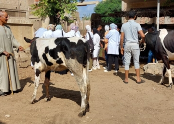 جامعة مدينة السادات تطلق قافلة بيطرية وزراعية مجانية لقرية " إبنهس" ضمن مبادرة حياة كريمة 35 - جريدة المساء