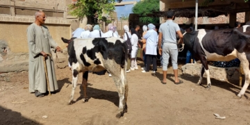 جامعة مدينة السادات تطلق قافلة بيطرية وزراعية مجانية لقرية " إبنهس" ضمن مبادرة حياة كريمة 1 - جريدة المساء