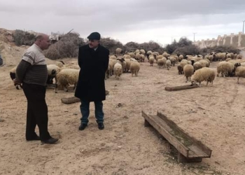 المنسق الوطنى لمشروع تعزيز القدرة على الموائمة في البيئات الصحراوية برايد يزور أنشطة المشروع بمطروح 21 - جريدة المساء