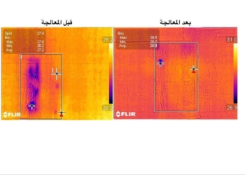 الجامعة اليابانية تبتكر طريقة للتخلص من النمل الابيض بالموجات الصوتية 27 - جريدة المساء