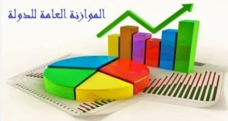 خبراء يشيدون بالموازنة الجديدة: اهتمت بالأولويات التنموية والحماية الاجتماعية 19 - جريدة المساء