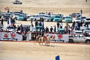 بحضور ٣ وزراء.. "القباج" تشارك في افتتاح سباق الهجن بالعريش 21 - جريدة المساء