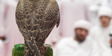 أغسطس القادم.. أبو ظبي تنظم أكبر معرض دولي للصيد والفروسية 1 - جريدة المساء