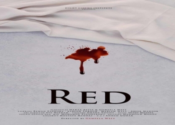 اليوم.."red" مشروع تخرج جميلة ويفي في المعهد العالي للسينما 15 - جريدة المساء