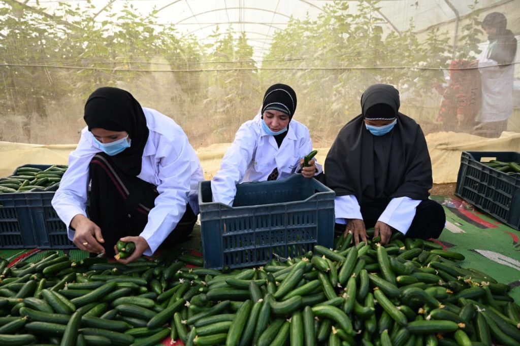 وزيرة التضامن: تخصيص 20 مليون جنيه لدعم المشروعات متناهية الصغر والمرأة المعيلة بالمنيا 19 - جريدة المساء