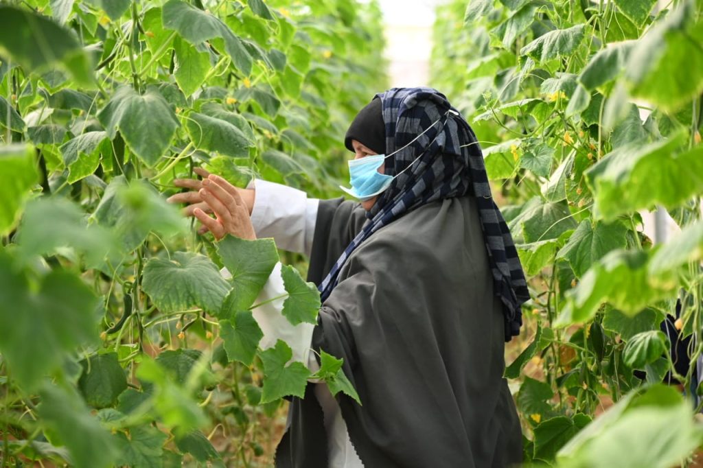 وزيرة التضامن: تخصيص 20 مليون جنيه لدعم المشروعات متناهية الصغر والمرأة المعيلة بالمنيا 23 - جريدة المساء