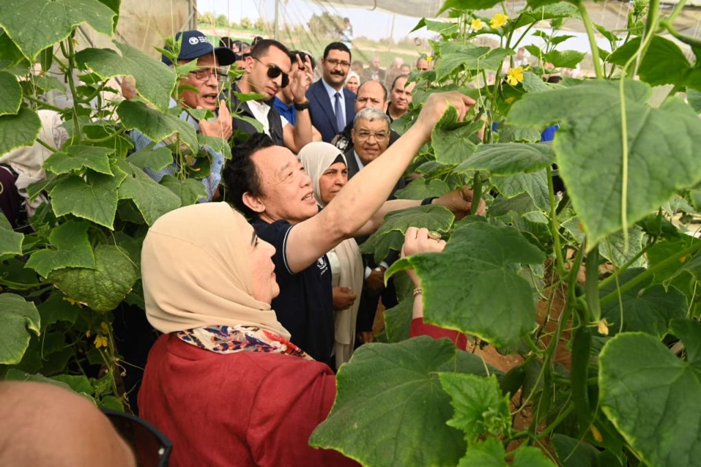 وزيرة التضامن: تخصيص 20 مليون جنيه لدعم المشروعات متناهية الصغر والمرأة المعيلة بالمنيا 27 - جريدة المساء