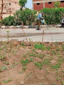 احتفالات شم النسيم.. من أسوان إلى بلطيم 30 - جريدة المساء