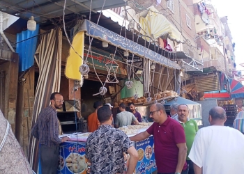 ١٦ محضر صحة وأمن صناعى وتموين ورصد بيئى فى حملة مكبرة بحى غرب  25 - جريدة المساء